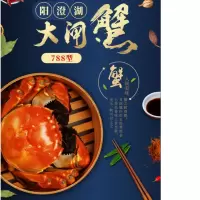 一统如宜阳澄湖大闸蟹礼盒988型