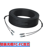 车仆新桥华泰 XQ-KFC-FC-200 跳线 尾纤 铠装光缆 FC-FC 室外跳线 200米 单模双芯