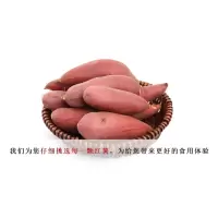新鲜红薯