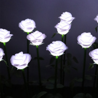 户外景观灯玫瑰花地插灯公园广场亮化装饰灯插电发光玫瑰花灯 白色20支