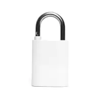 Makeid LK02-NFC 挂锁 1 个 灰色