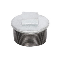 建支 国标热镀带边管堵丝堵 玛钢 2寸DN50 5个/件 <件>