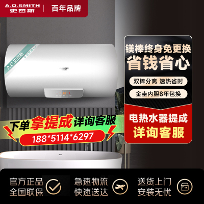 AO史密斯佳尼特60升电热水器 金圭内胆包8年 双棒分离速热CTE-60NP