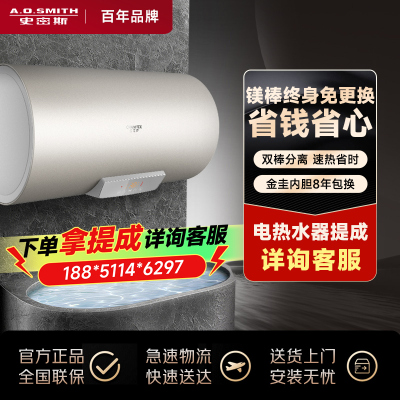 AO史密斯佳尼特60升电热水器 金圭内胆包8年 双棒分离速热CTE-60PB