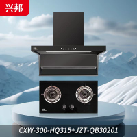 兴邦(XING BANG)欧式顶吸家用抽油烟机燃气灶套餐烟灶两件套装HQ315+30201