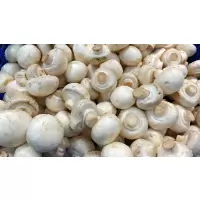 新鲜美味口蘑