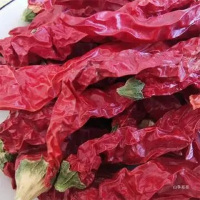 西尔丹辣皮子 kg