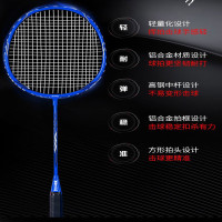 特斯恩 TSN-D08 羽毛球拍 铁合金分体羽毛球拍 蓝色