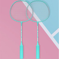 特斯恩 TSN-PM01 羽毛球拍 泡棉款羽毛球拍 浅绿