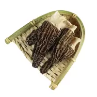 青川羊肚菌100g(影)