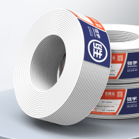 胜宇 ZC-BVVB护套扁平平行线家装硬线 2*6mm²-白色-100米