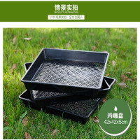 育苗盘 43*43*8cm(加厚优质白)