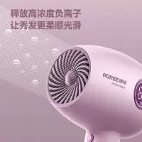 吹风机PH1637
