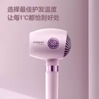 吹风机PH1638