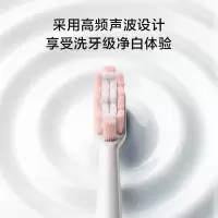 电动牙刷PT1701