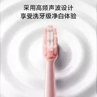电动牙刷PT1701