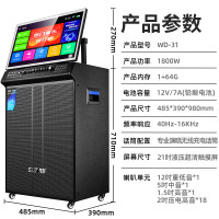 先科(SAST)WD-31家庭卡拉OK点歌一体机 22吋屏+12吋低音+21喇叭+64G
