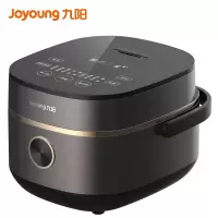 九阳电饭煲 F-20FY1