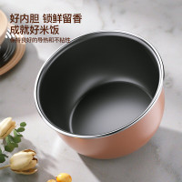 longde龙的智能电饭煲LD-FS351