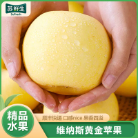 [苏鲜生]维纳斯黄金苹果 净重3斤 特大果 单果80-85mm 山东水果新鲜整箱当季正宗时令黄胖子甜丑苹果