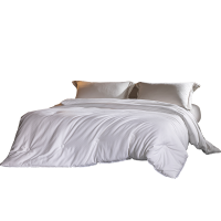 艾美家 卡芙丽3D恒温桑丝夏被 桑蚕丝被[桑蚕丝]220*240cm 经典白