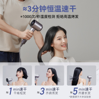 DAEWOO大宇大宇高速吹风机HD04