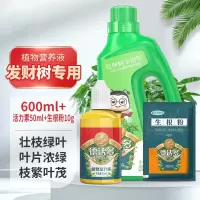 德沃多肥料 发财树植物营养液600ml+活力素50ml+生根粉园艺绿植花肥料叶面肥 单位:瓶