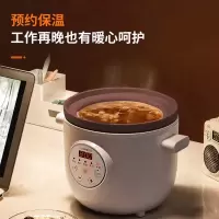 九阳电炖锅DGD1505AM