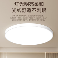 强力巨彩 企业优选 XF30厘米直径LED吸顶灯