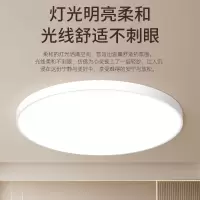 强力巨彩 企业优选 XF30厘米直径LED吸顶灯