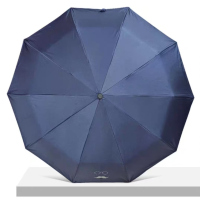 天堂伞十骨全自动折叠伞