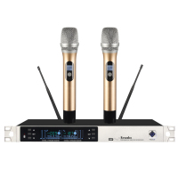 RCV 一拖二真分集无线话筒 S300