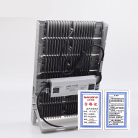 迈灯LED投光灯 MD-TGD-MZ50 300W 个