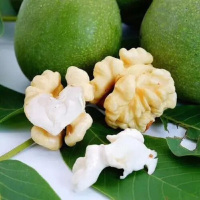 核桃仁一批(30.4元/kg*0.5kg)