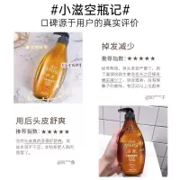 滋源生姜强根健发洗头水(中干性)