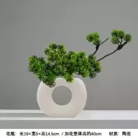 小窝厘 平口半圆瓶+美人松 摆件