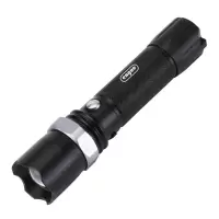 恩谷(ENGUE) 三档强光调焦金属 手电筒 EG-110