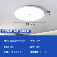 LED感应吸顶灯楼道楼梯过道家用入户走廊吸顶灯 20W白光-23CM(雷达感应+带光控)
