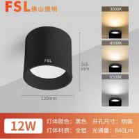 佛山照明(FSL) 熙凡系列明装筒灯 4寸-12W-白光-砂黑色