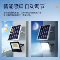 LED射灯 100W 公牛