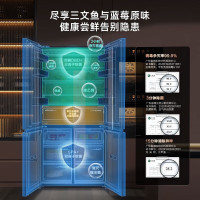 海信冰箱BCD-607WTDGVBPIVC2星汉