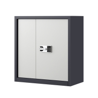 风雷动指纹电子保密柜钢制密码文件柜档案柜矮柜保密资料柜办公柜 单节灰白:国保锁