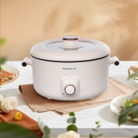 熊猫电火锅4升电火锅TRHG4L03