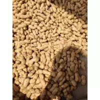 鲜花生