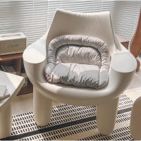 环保PE单人沙发+座垫