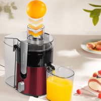 熊猫熊猫榨汁机HG-J01