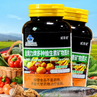 威斯健 多种维生素矿物质片膳食营养补充钙铁锌硒B族维生素 100片