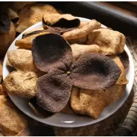 陈皮