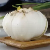 百合