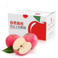 陕西洛川红富士苹果 净重2.5kg 单果260g 新鲜水果礼盒